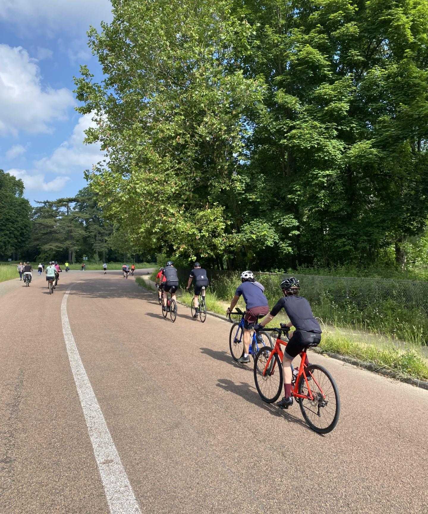 Plusieurs personnes à vélo sur une route bordée de verdure