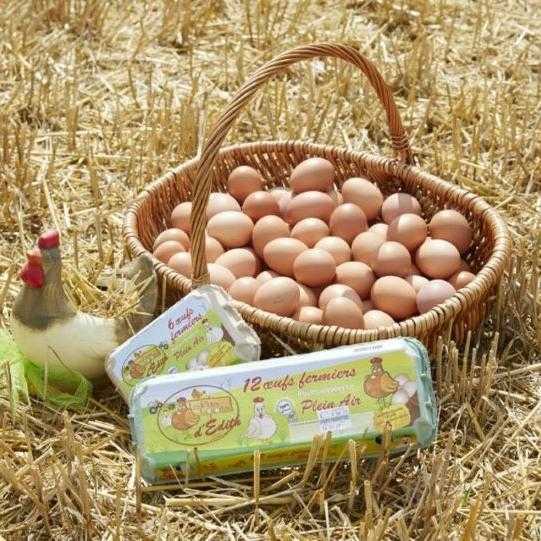 Panier osier rempli d'œufs