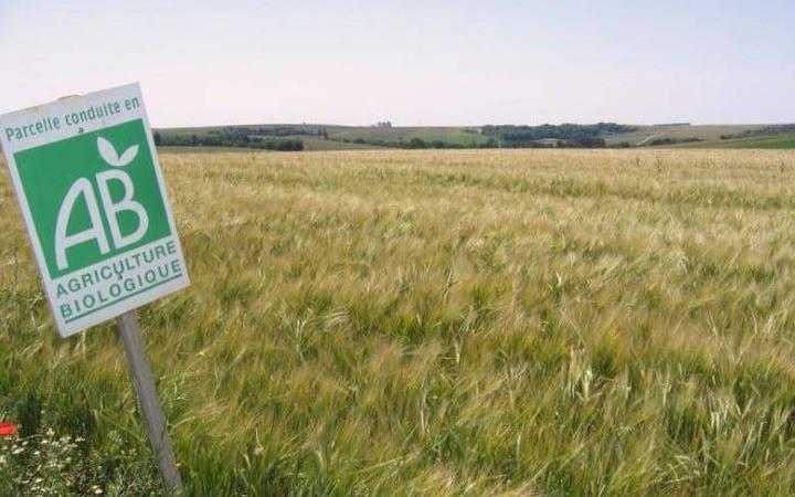 Champ avec un panneau indiquant "parcelle reconduite en agriculture biologique"