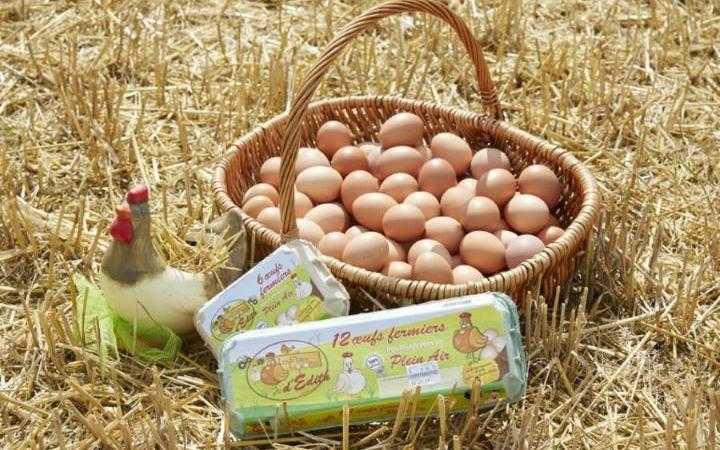 Panier osier rempli d'œufs