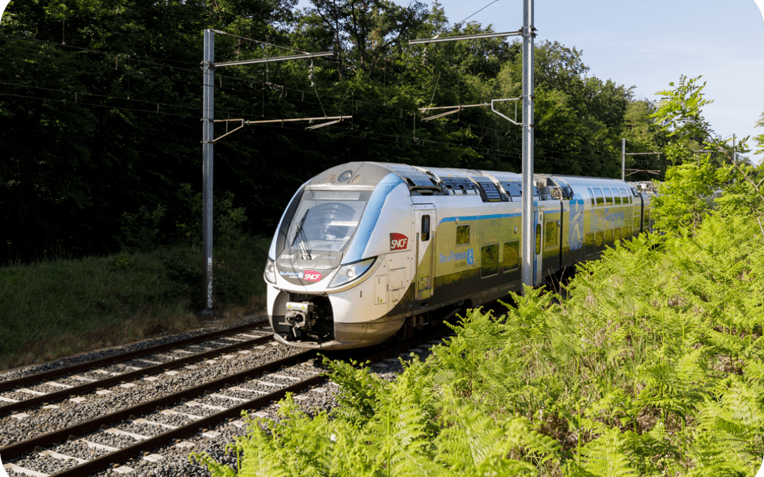 Un train en circulation entouré de verdures