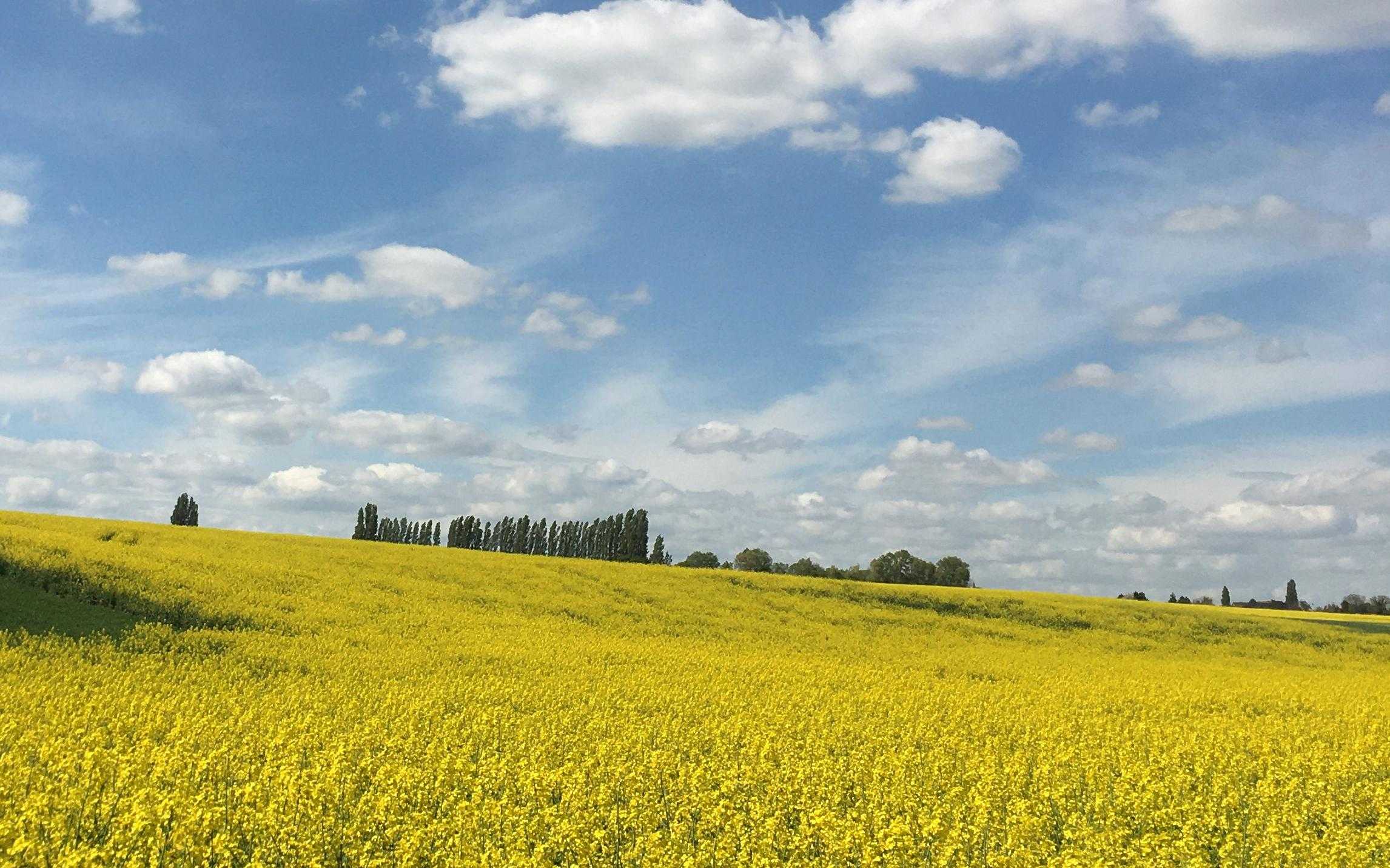 Vallée du Guyon