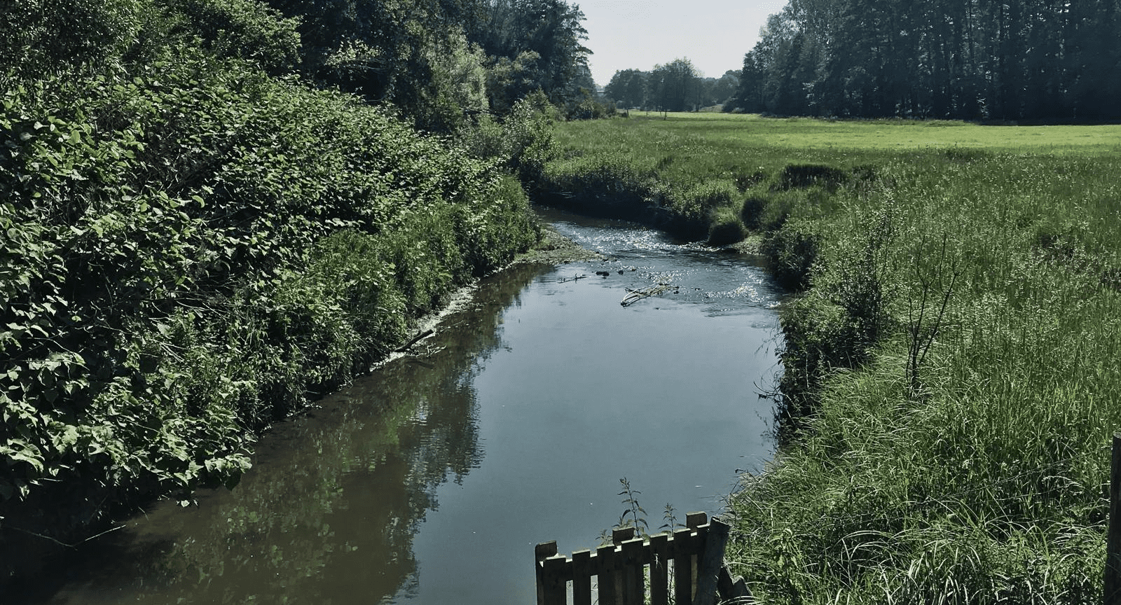La rivière l'Yvette