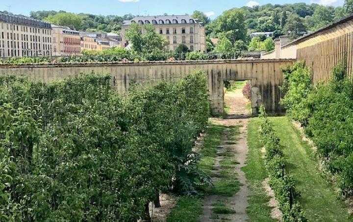 Le Potager du Roi à Versailles