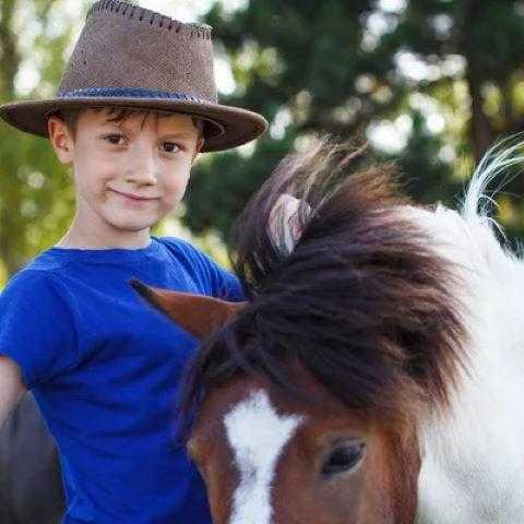 enfant avec poney