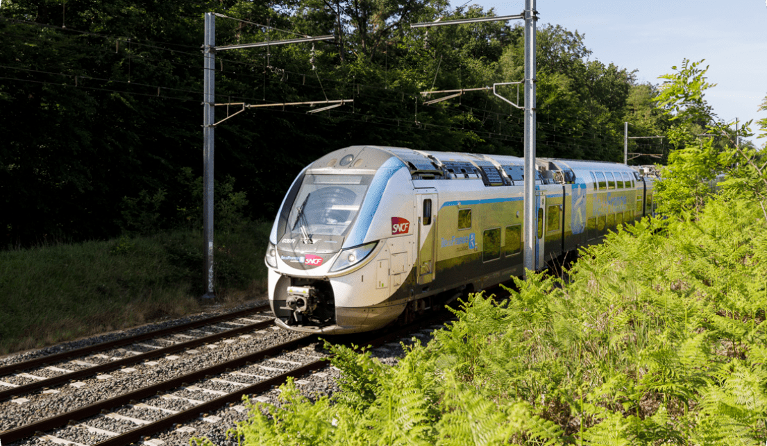 Un train en circulation entouré de verdures