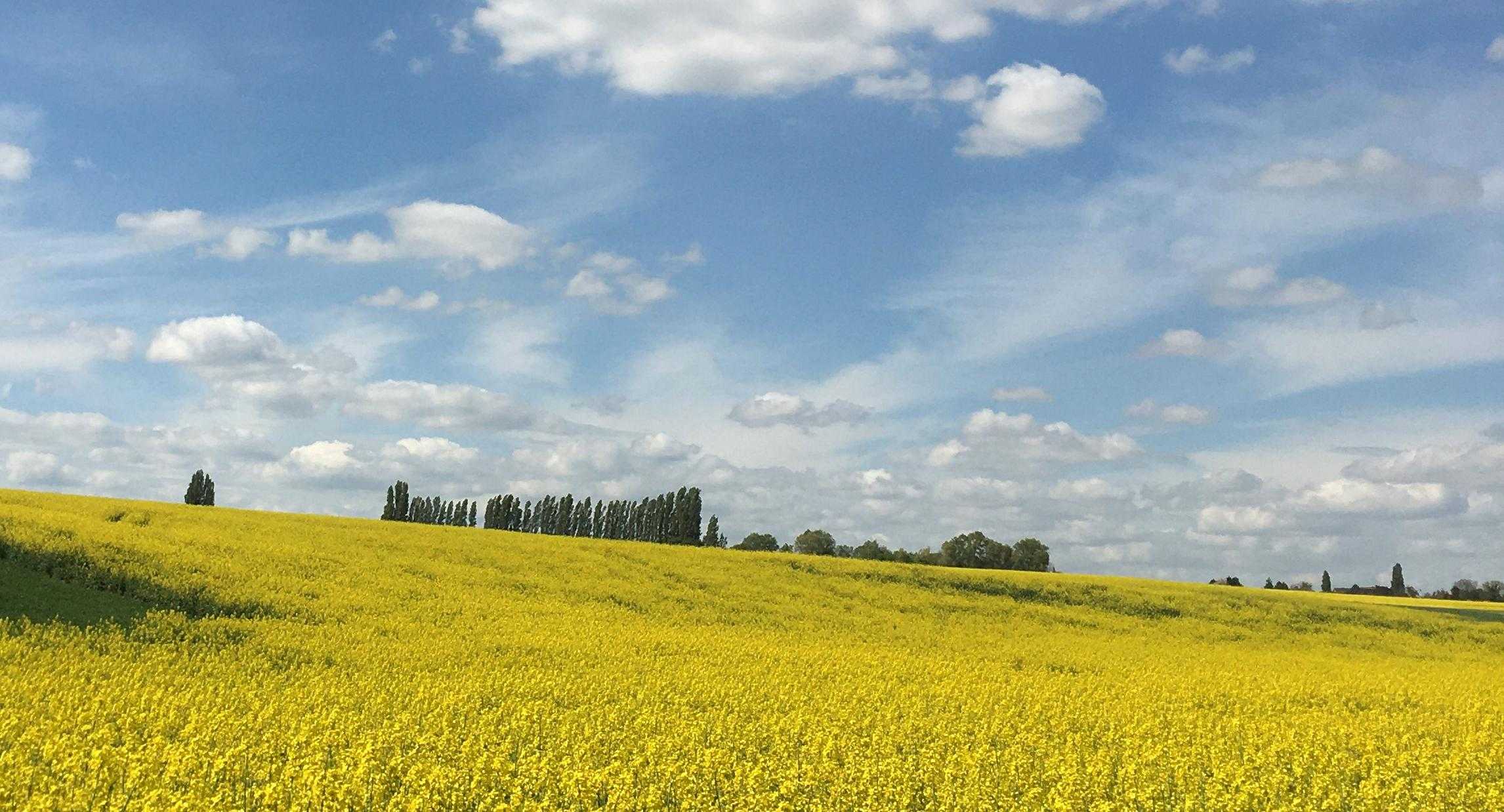Vallée du Guyon