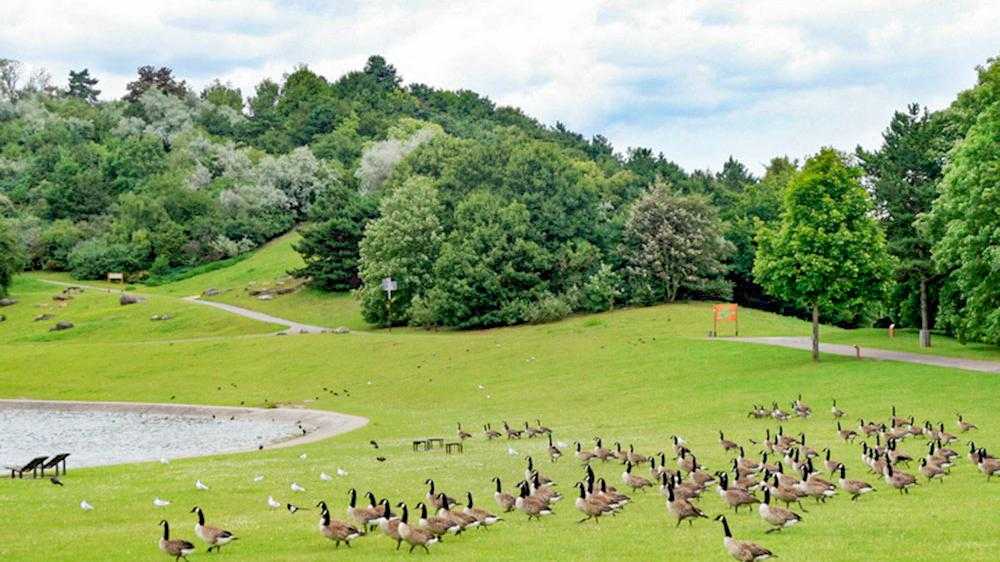 Parc Georges Valbon
